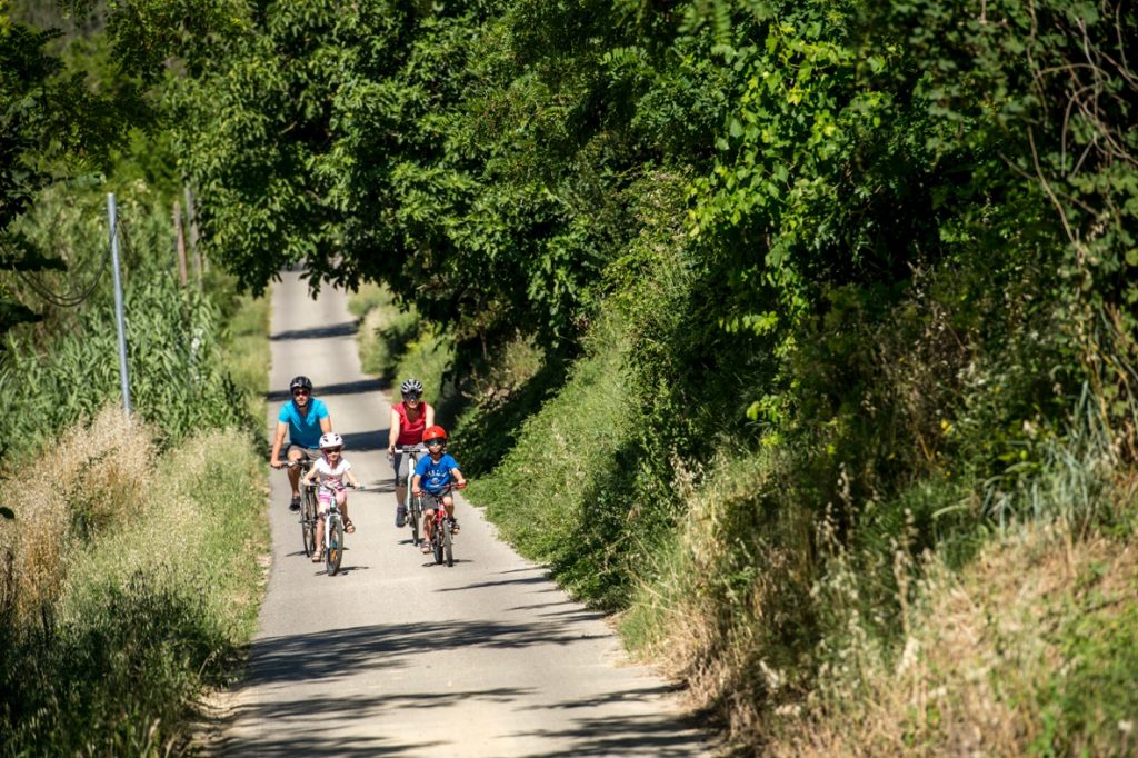 DROZPHOTO_Parc Luberon_67417